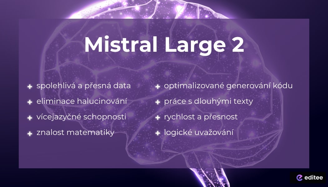 Mistral Large 2 porovnání